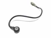 Klopfsensor PEUGEOT 407 Coupe (6C_) 2.7 HDi 4R8Q12A699AB