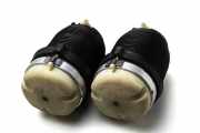 Gasdruckfeder Audi A6 Allroad (4F) 4F0616001