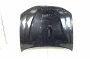 Motorhaube BMW X3 (F25)
