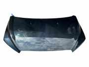 Motorhaube CHEVROLET AVEO Sedan (T250, T255) 1.2