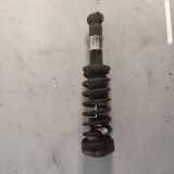 Stoßdämpfer links hinten BMW X3 (F25) 6796317