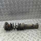 Stoßdämpfer links hinten BMW 6er Coupe (F13) 6789616