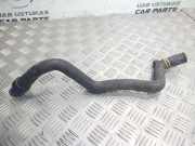 Schlauch Kühlung RENAULT MEGANE II (BM0/1_, CM0/1_) 1.6 16V (BM0C, CM0C)