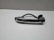 Türaußengriff vorne links HYUNDAI i20 (PB, PBT) 1.4