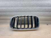 Gitter Grill vorne links BMW X5 (F15, F85) xDrive 50 i 7316075