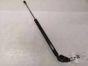 Heckklappe Gasdruckfeder rechts MAZDA 5 (CR19) 2.0 CD