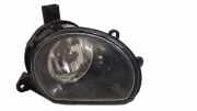 Nebelscheinwerfer links AUDI Q7 (4L) 3.0 TDI quattro 8P0941699A
