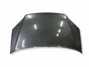 Motorhaube FORD FOCUS C-MAX 1.6