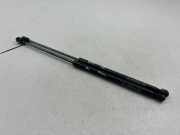 Gasfeder für Motorhaube VW Polo V (6R, 6C) F1325N