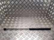 Heckklappe Gasdruckfeder links CITROËN C4 I (LC_) 2.0 HDi 9647295380