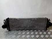 Ladeluftkühler RENAULT TRAFIC II Furgon (FL) 1.9 dCi 100 (FL0C) 91166035 7700312903