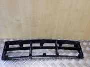 Gitter vorne unten BMW 5 (E39) 530 d 51118235671