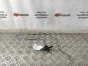 Antenne RENAULT ESPACE IV (JK0/1_) 2.0 dCi (JK02, JK03)