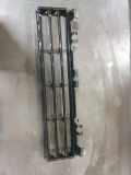 Gitter vorne unten BMW 5 (G30) 530 e iPerformance 51117385267