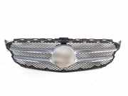 Vorderer oberer Gitter MERCEDES-BENZ C (W205) C 220 BlueTEC / d (205.004) A2058800183