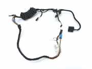 Türverkabelung hinten rechts MERCEDES-BENZ C (W203) C 200 CDI (203.004) a2035407308