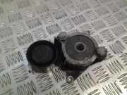 Riemenspanner TOYOTA COROLLA Verso (ZER_, ZZE12_, R1_) 2.2 D-4D (AUR10_)