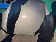 Motorhaube Fiat Bravo II (198)