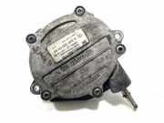 Vakuumpumpe MERCEDES-BENZ A (W169) A 200 CDI (169.308) 101411500 200000044
