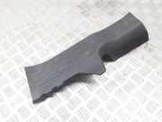 Innenschwellenzierleiste hinten links RENAULT KOLEOS II 2.0 dCi 175 4WD B21601ZG000