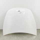 Motorhaube TESLA MODEL 3 EV 1081390-E0-C