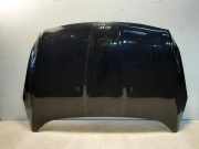 Motorhaube Ford Kuga II (DM2)