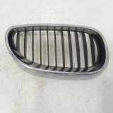 Vorderer oberer Gitter BMW 5 (E60) 520 d 51137065701