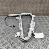 SRS Modul Dach links CITROËN C3 III (SX) 1.2 VTi 82 34206934H 981185808