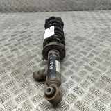 Stoßdämpfer hinten links