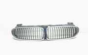 Vorderer oberer Gitter BMW 7 (E65, E66, E67) 730 Ld
