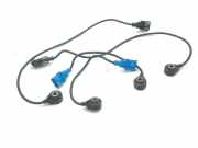 Klopfsensor Maserati Quattroporte V () 0261231167