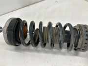 Stoßdämpfersatz Vorderachse BMW 5er (F10) 6784018