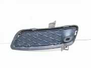 Gitter vorne unten BMW X3 (F25) xDrive 30 d 7249596