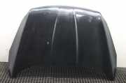 Motorhaube Ford Kuga II (DM2)