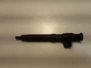 Einspritzdüse FORD GALAXY III (CK) 2.0 TDCi 9674984080