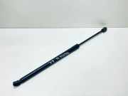 Heckklappe Gasdruckfeder rechts VW TOURAN (1T1, 1T2) 2.0 TDI 16V 1T0827550C