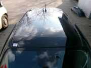 Dach mit Sonnendachausschnitt Nissan Juke (F15)