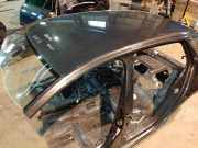 Dach mit Sonnendachausschnitt VW Golf VII (5G)