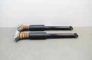 Stoßdämpfer hinten rechts BMW F40 (F40)118i 6791706 6877075