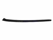 Zierleiste Windschutzscheibe Frontscheibe OPEL ASTRA J 1.7 CDTI 498166255