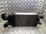 Ladeluftkühler OPEL ZAFIRA B (A05) 1.7 CDTI 13240831