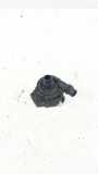 ZUSATZWASSERPUMPE BMW 3 (F30, F80) 330 e 8638240