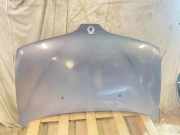 Motorhaube RENAULT SCÉNIC I (JA0/1_) 2.0 16V MV671