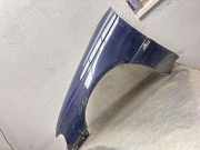 Kotflügel vorne links