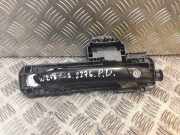 Türaußengriff vorne rechts