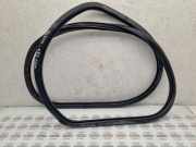 Türdichtung Seat Toledo III (5P) 5P0867367D