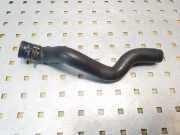 Schlauch Kühlung RENAULT KANGOO (KC0/1_) 1.9 dTi (KC0U)