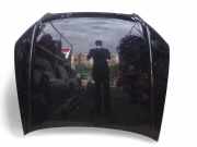 Motorhaube AUDI A4 Avant (8ED, B7) 2.0 TDI 16V