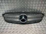 Gitter MERCEDES-BENZ C T-Model (S205) C 220 BlueTEC / d (205.204) A2058803783