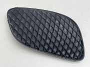 Gitter vorne unten MERCEDES-BENZ A (W177) A 220 (177.044) A1778852800